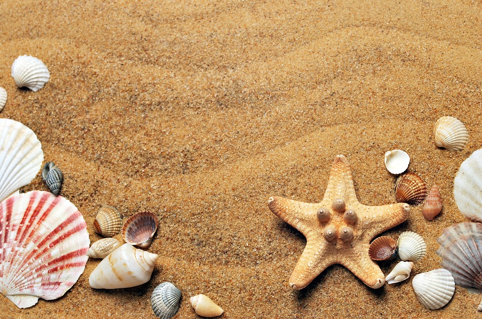 spiaggia conchiglie.jpg